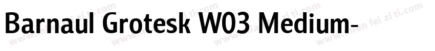 Barnaul Grotesk W03 Medium字体转换